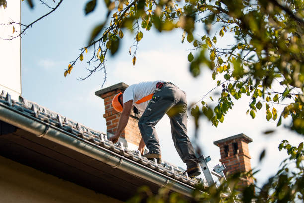 Best Roof Maintenance Services  in Byhalia, MS