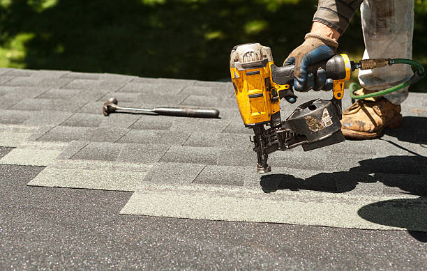 Best Roof Gutter Cleaning  in Byhalia, MS