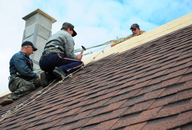 Best Tile Roofing Contractor  in Byhalia, MS